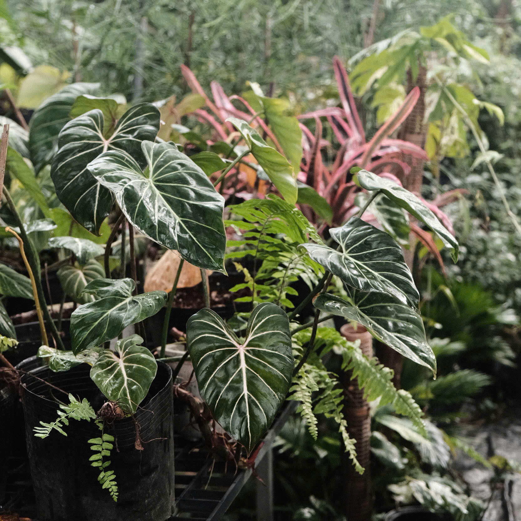 Hình ảnh về chúng tôi