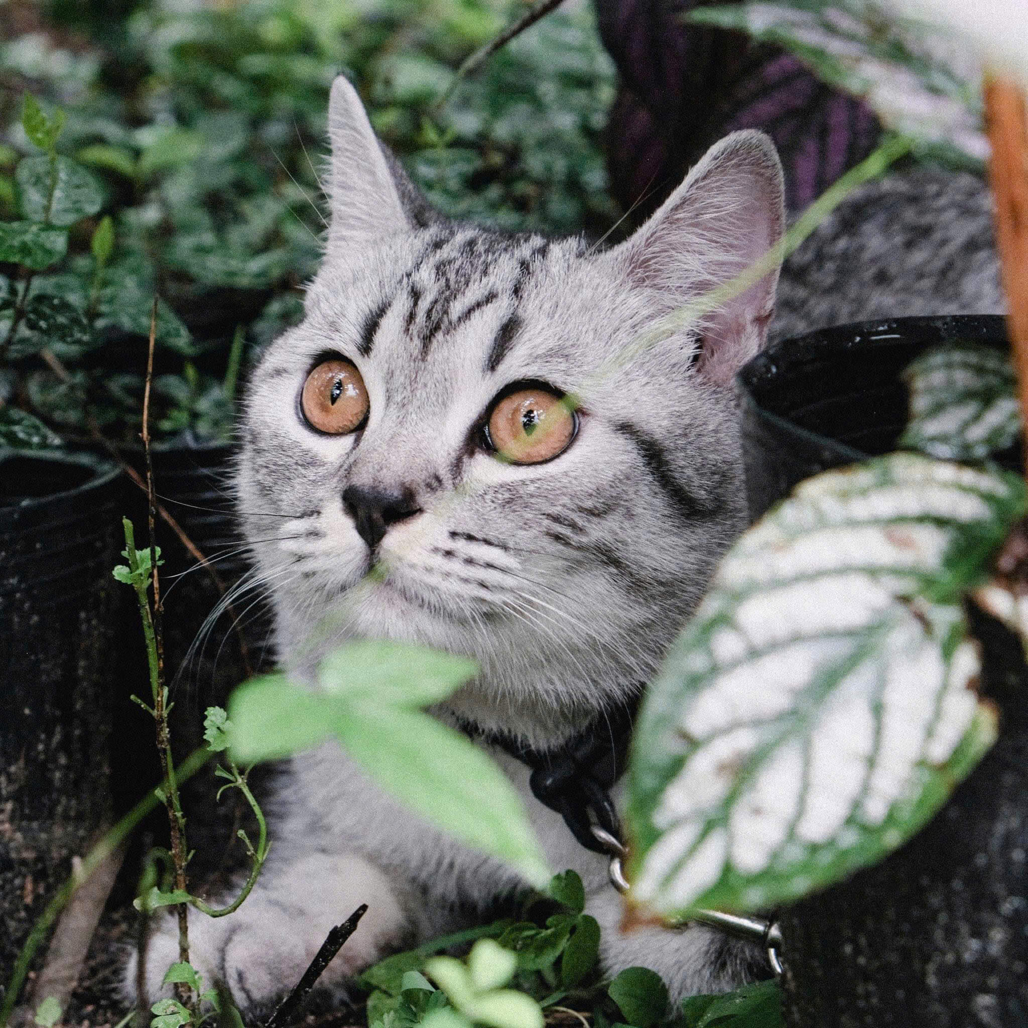 Hình ảnh về chúng tôi