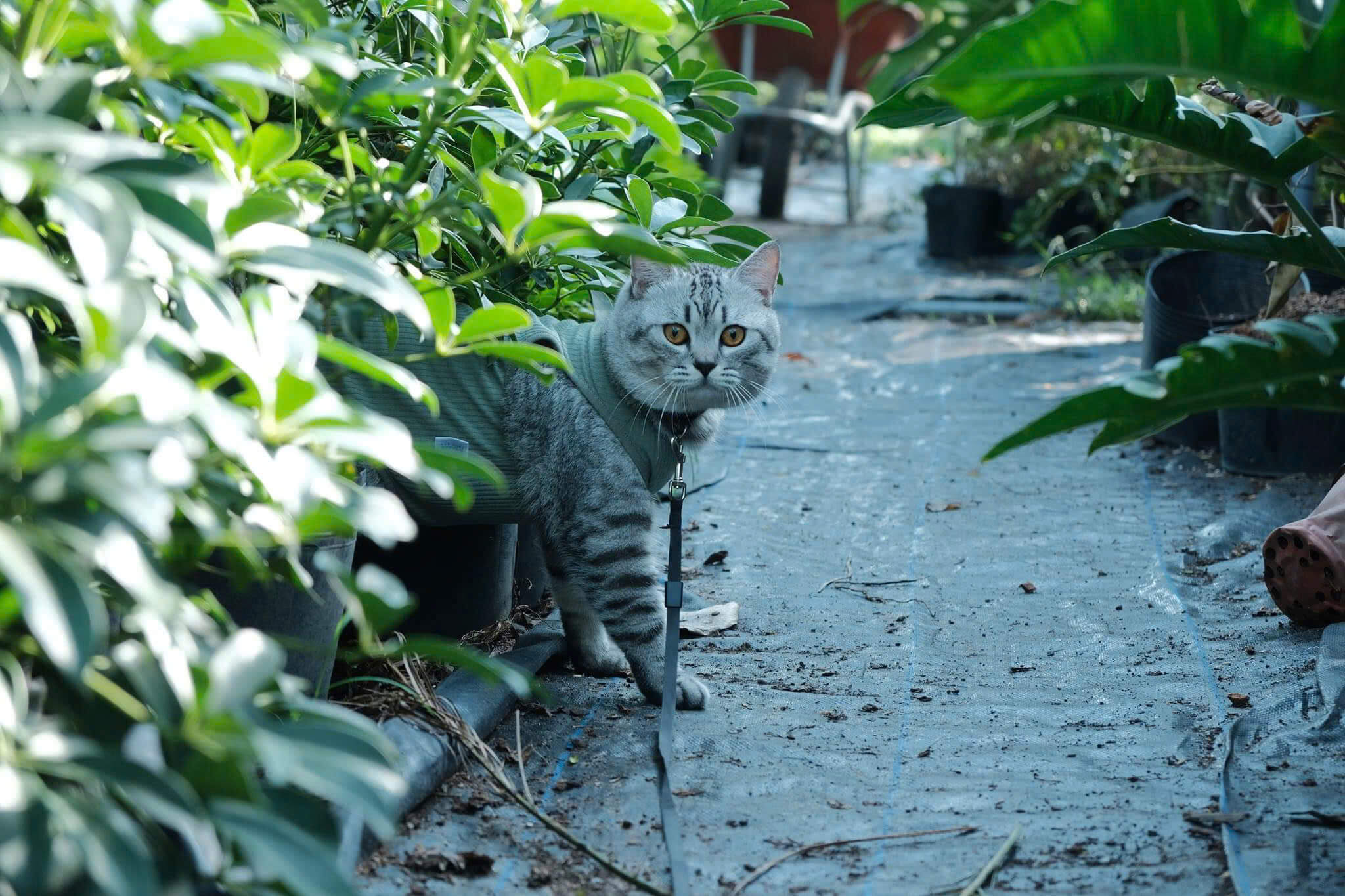 Hình ảnh về chúng tôi