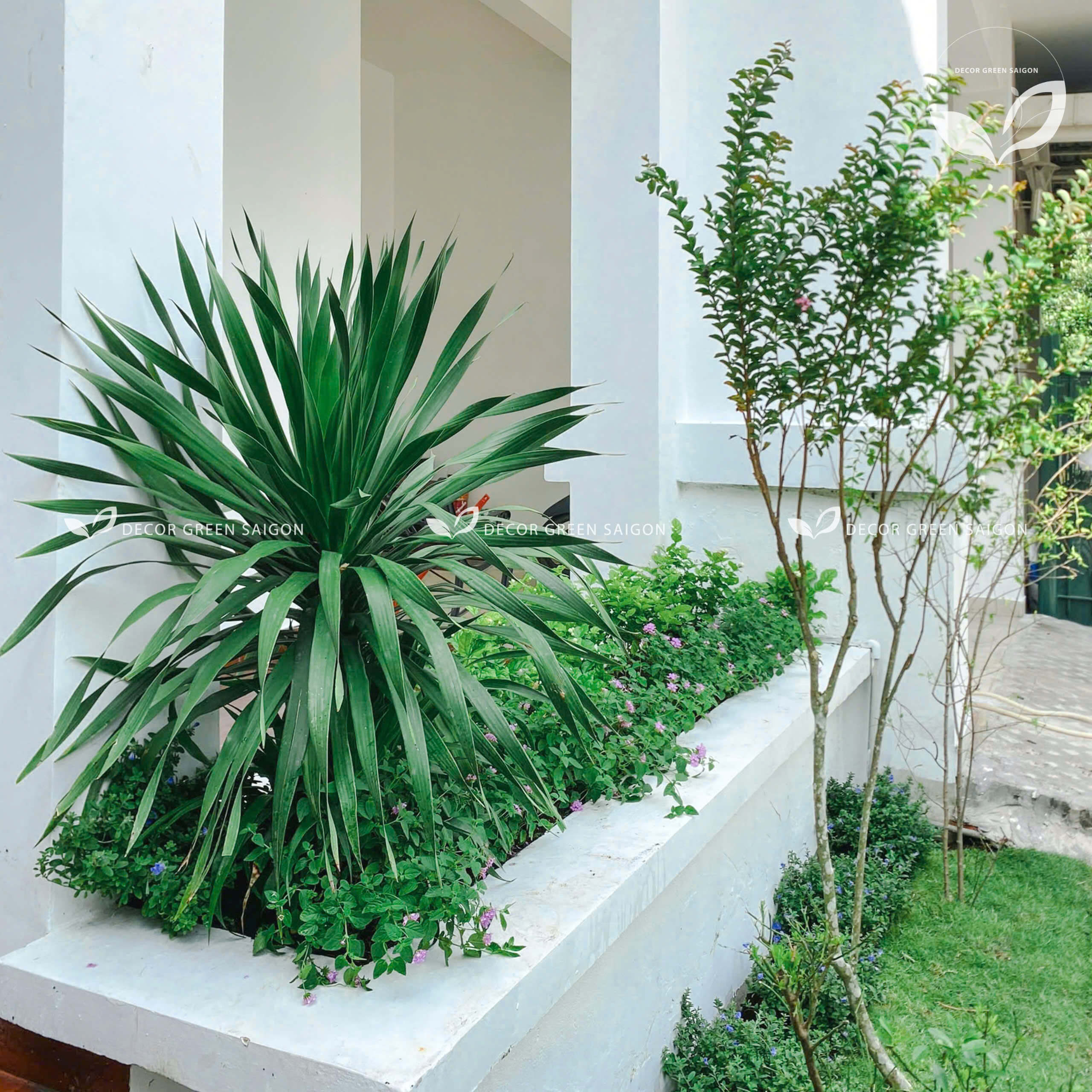 Biệt thự Hưng Thái - Quận 7