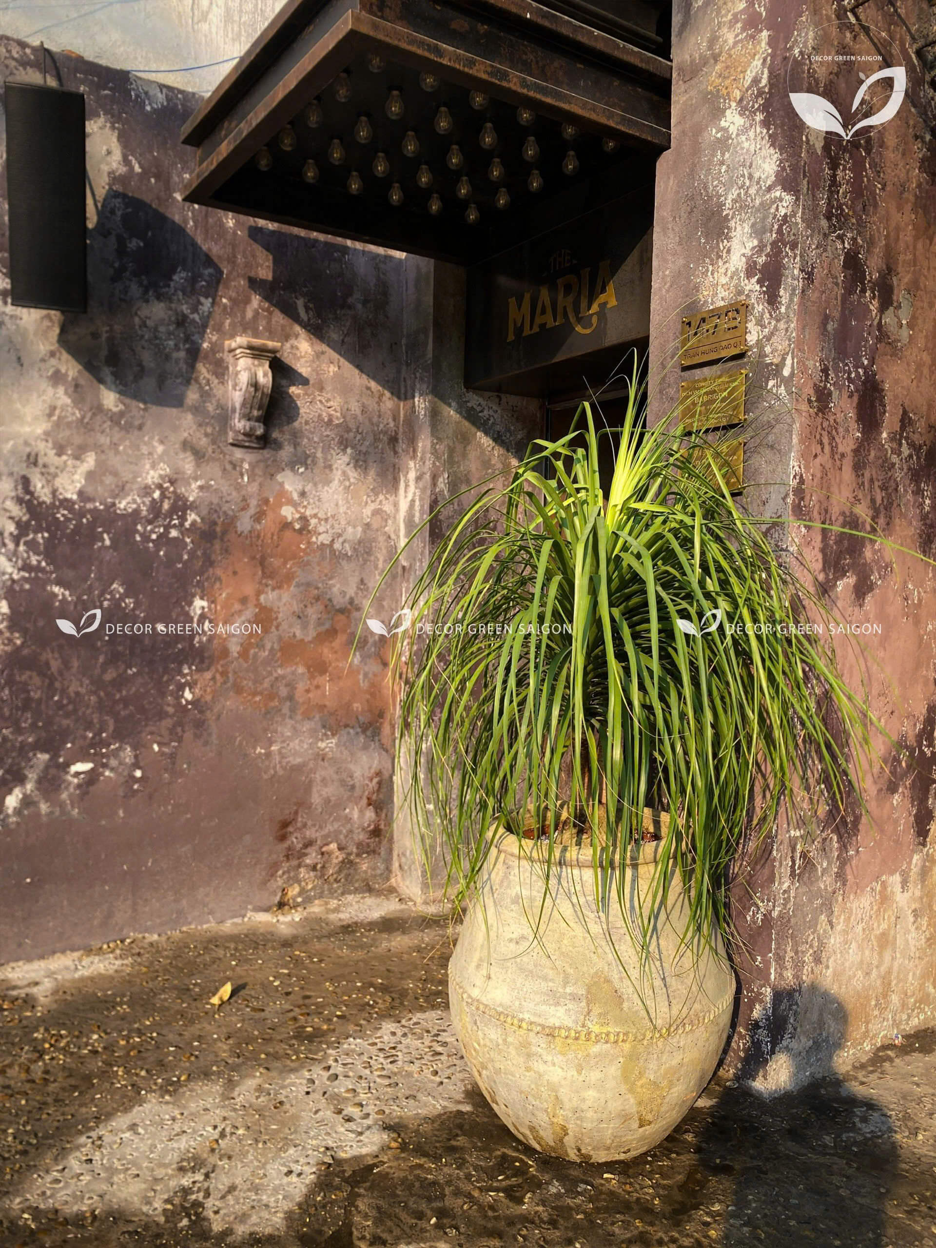 Barrigón - Quận 1