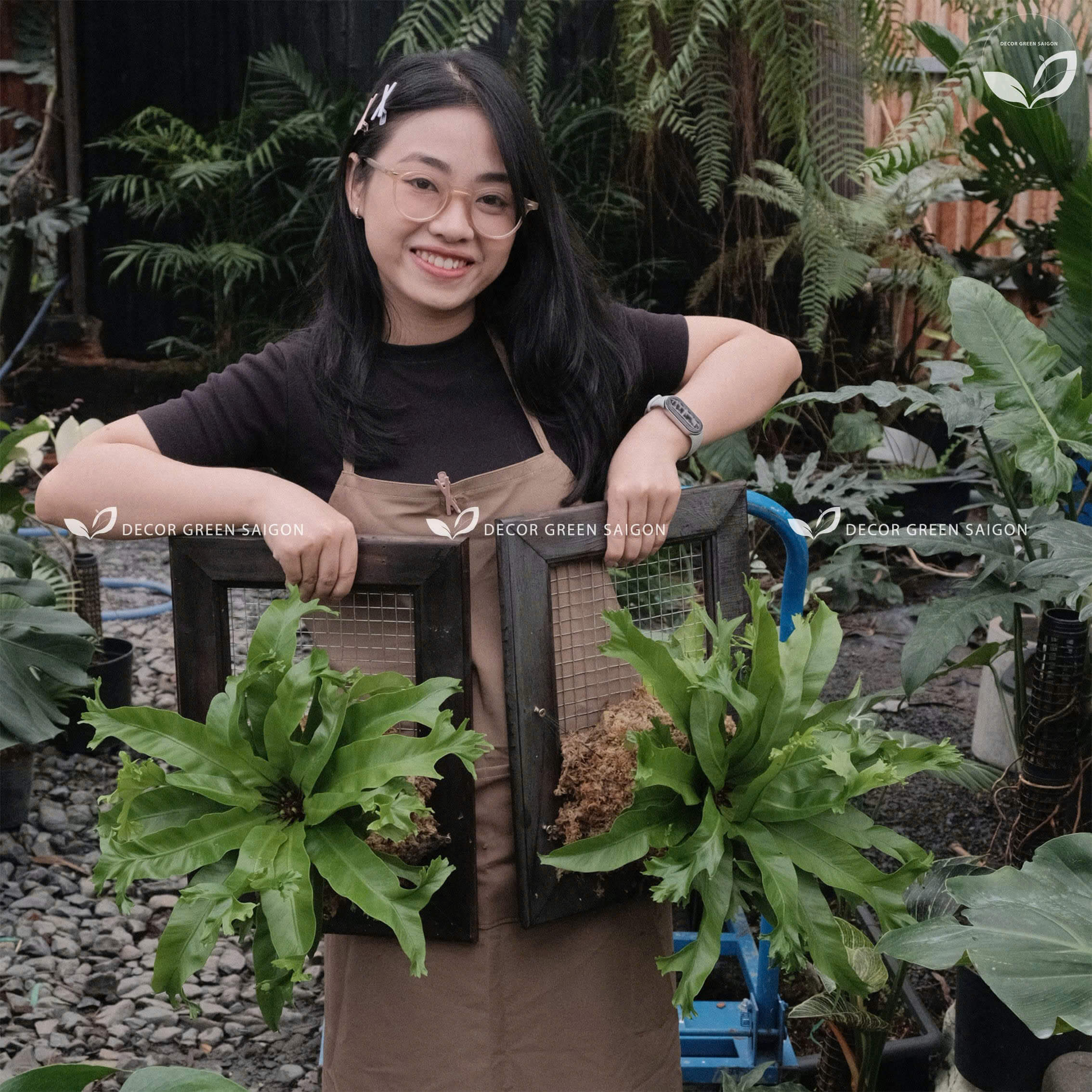 Hình ảnh về chúng tôi