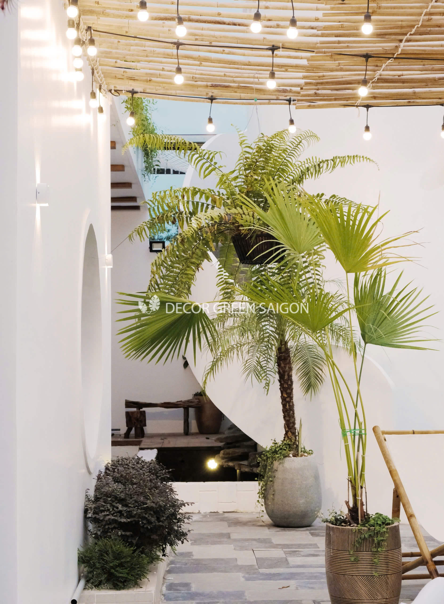 Bingo Homstay - Bình Thuận