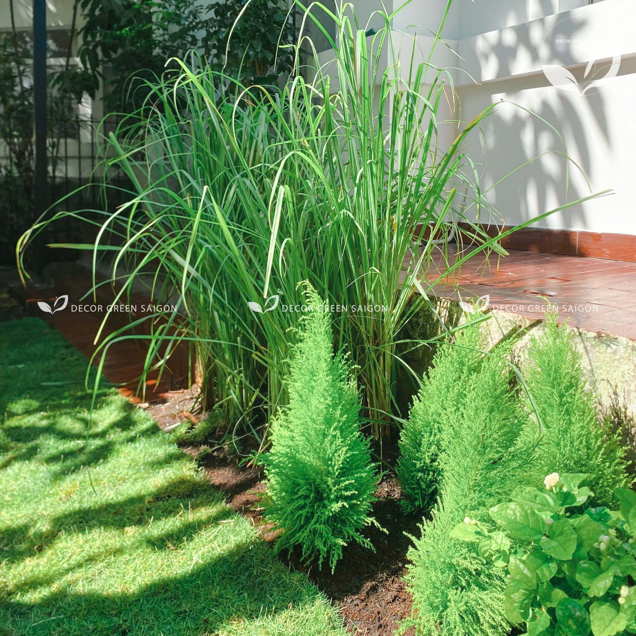 Biệt thự Hưng Thái - Quận 7