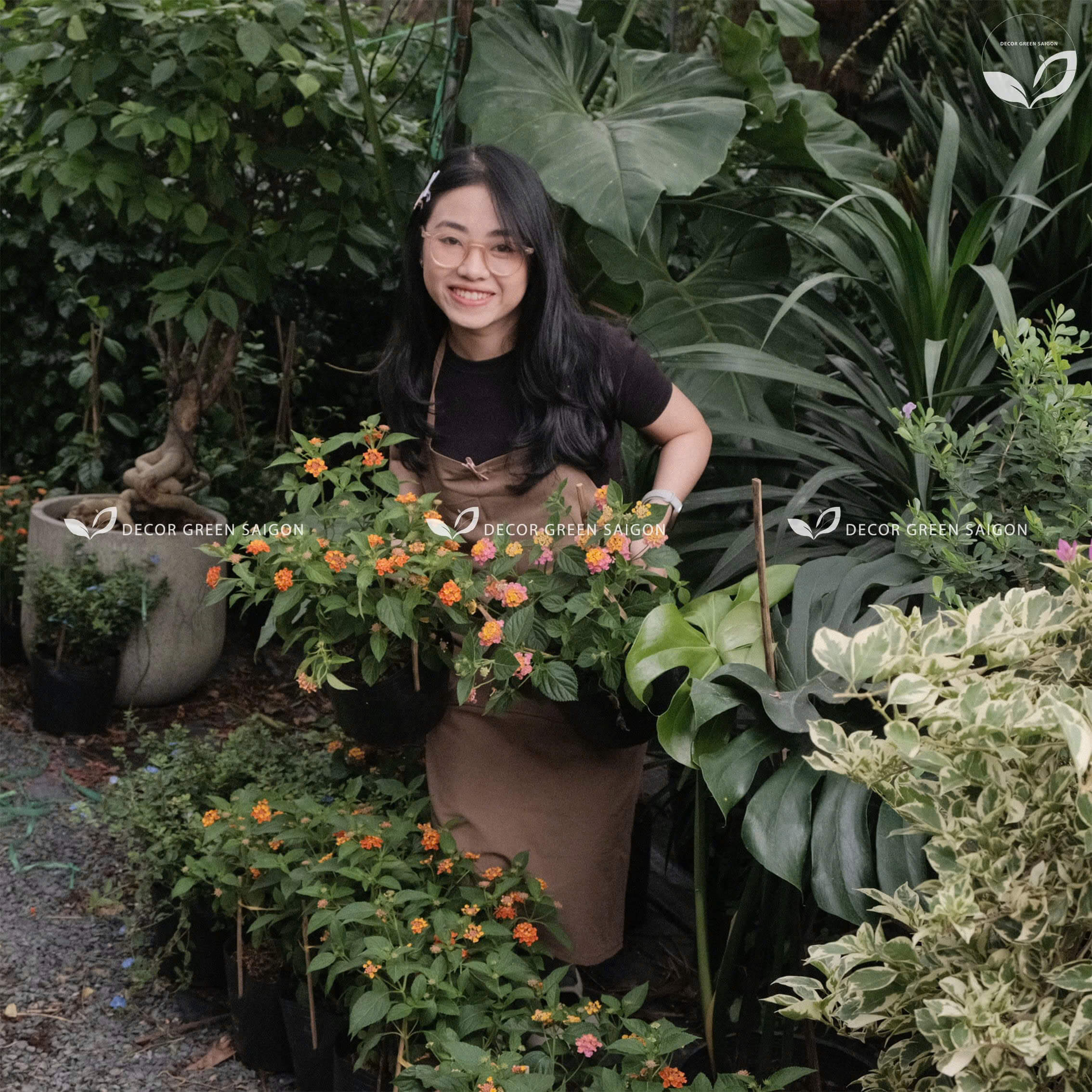 Hình ảnh về chúng tôi