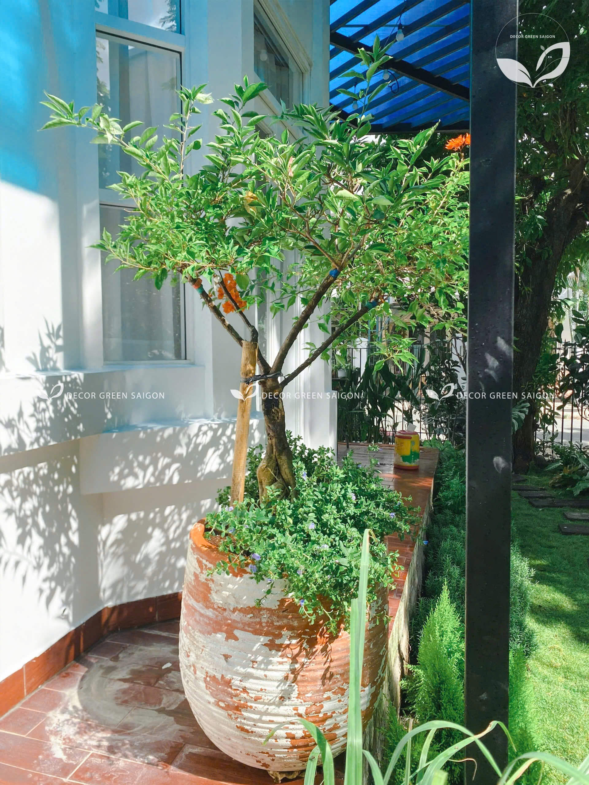 Biệt thự Hưng Thái - Quận 7