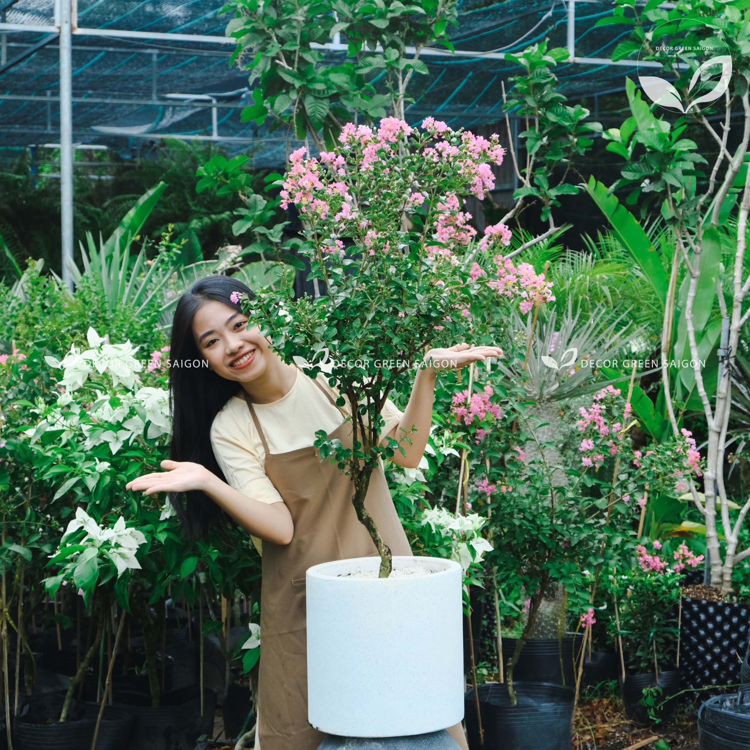 Hình ảnh về chúng tôi