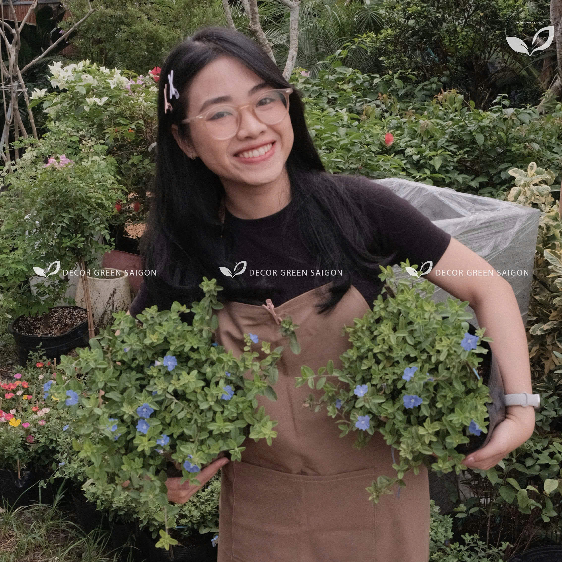 Hình ảnh về chúng tôi